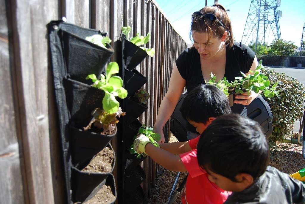 Napa Valley Montessori Learning Center | 120 W American Canyon Rd M9, American Canyon, CA 94503 | Phone: (707) 647-7178