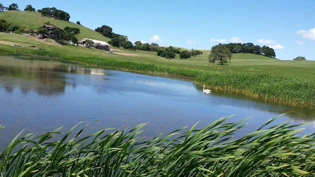 Reis River Ranch Vineyards Farm Stay Bed and Breakfast | Tunzi Rd, Petaluma, CA 94952 | Phone: (707) 781-7437