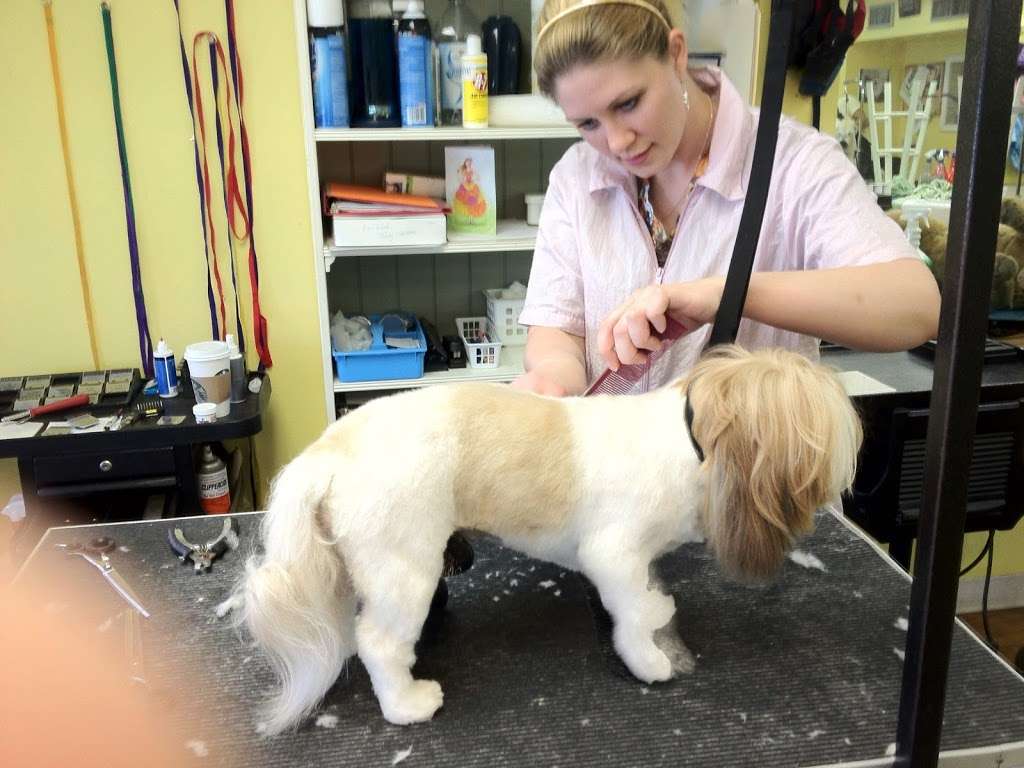 Houston Pet Grooming Academy | 6727 1/2 Weslayan St, Houston, TX 77005, USA | Phone: (713) 253-5757