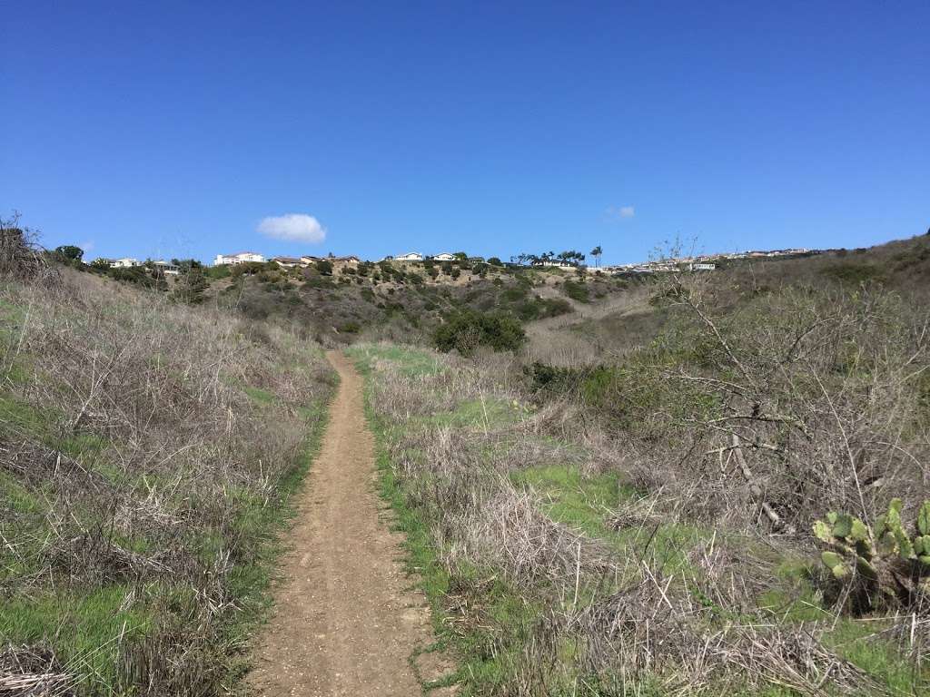 Buck Gully trailhead | 872 Poppy Ave, Corona Del Mar, CA 92625, USA