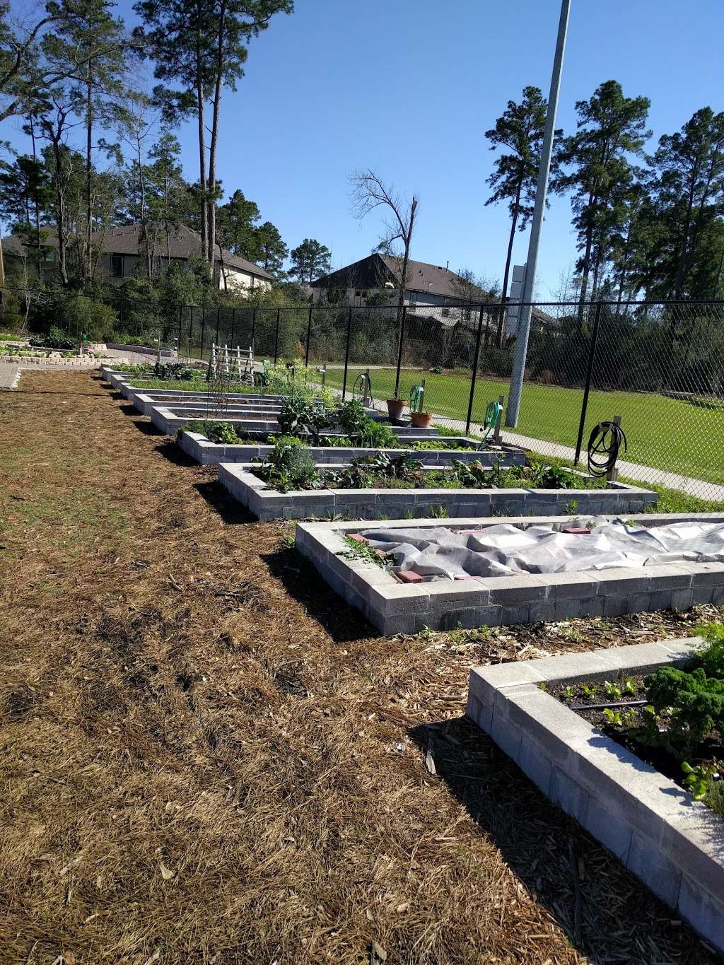 Wendtwoods Community Vegetable Garden | Wendtwoods Dr, Tomball, TX 77375, USA | Phone: (281) 210-3900