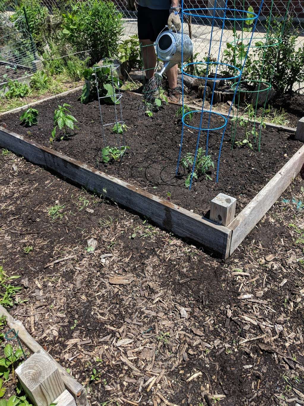 Hello Howard Community Garden | 7519 N Ashland Ave, Chicago, IL 60626, USA