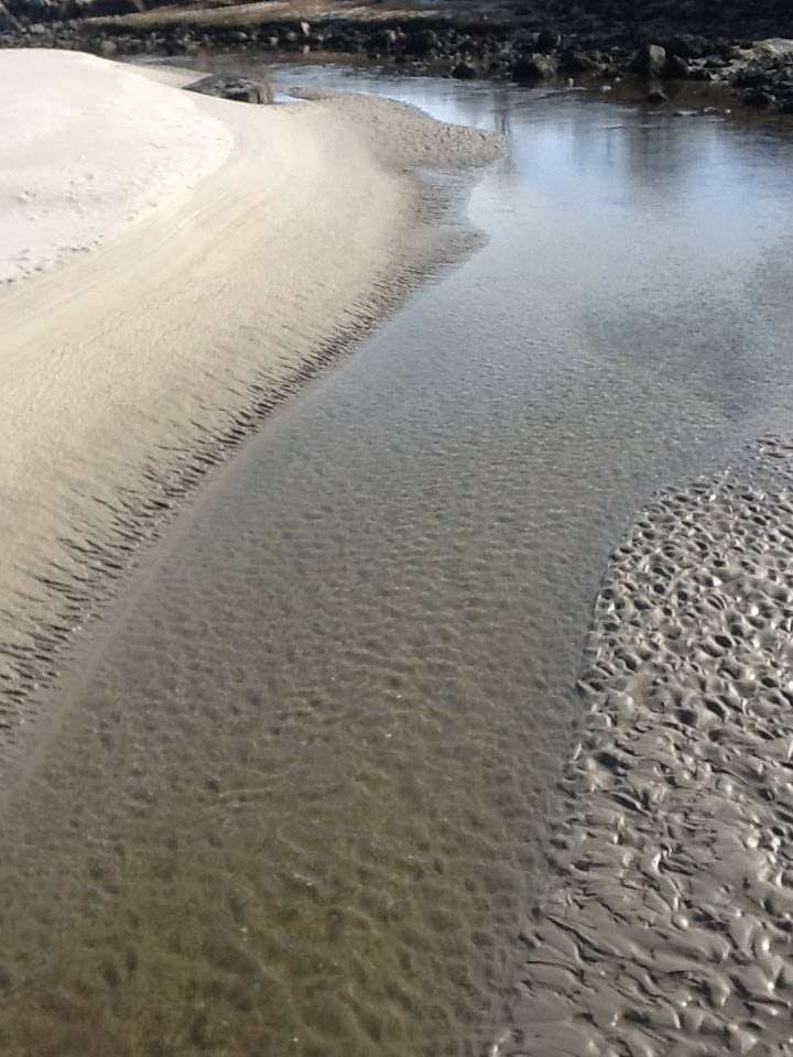 Good Harbor Beach | Gloucester, MA 01930, USA