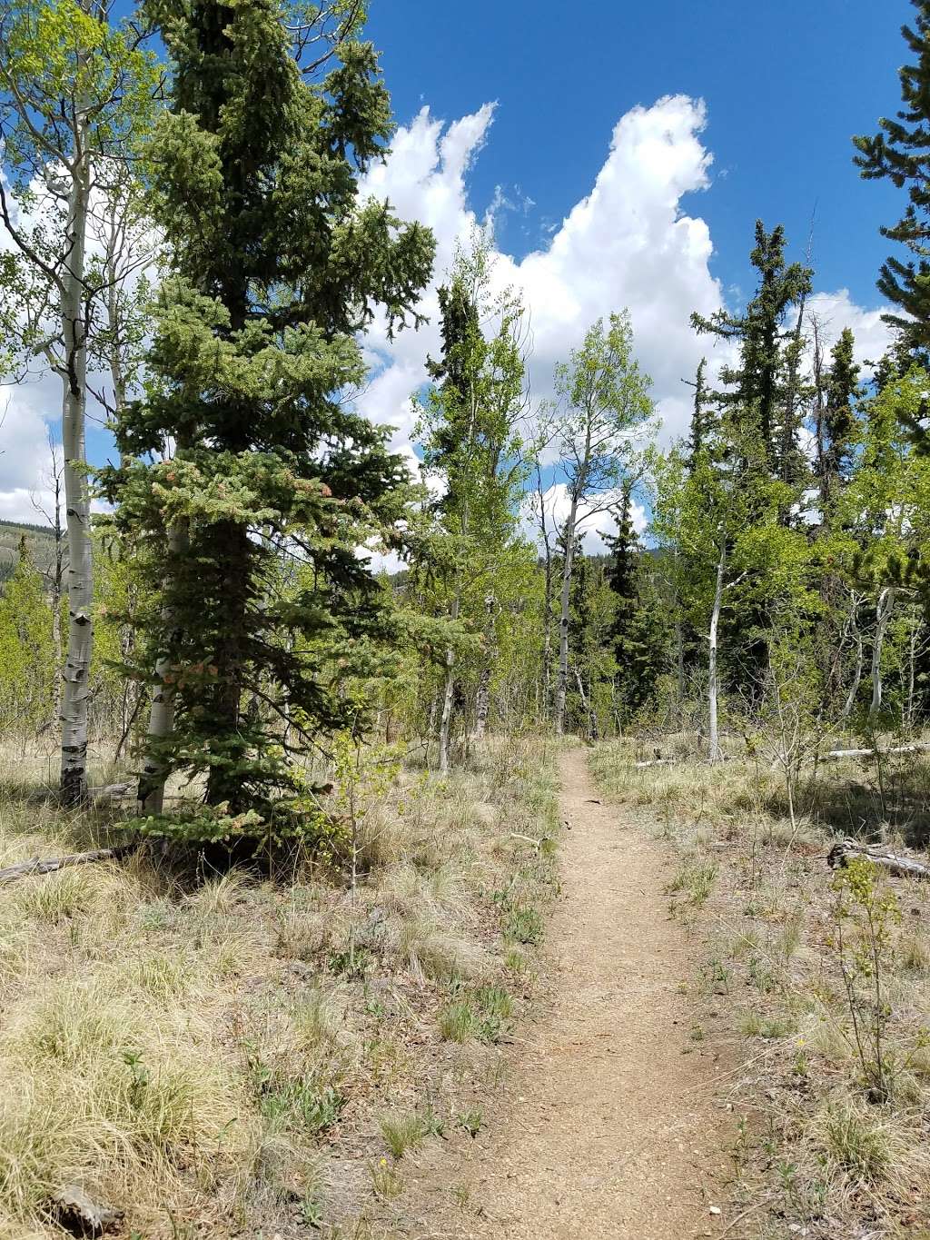 Long Gulch Trailhead | Forest Rd 817, Jefferson, CO 80456, USA