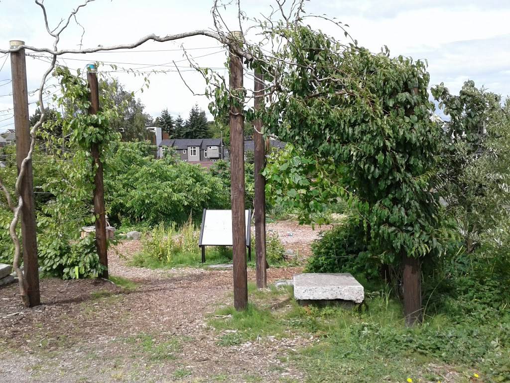 Beacon Food Forest P-Patch Community Gardens | 16th Ave S, Seattle, WA 98108, USA | Phone: (206) 684-2489