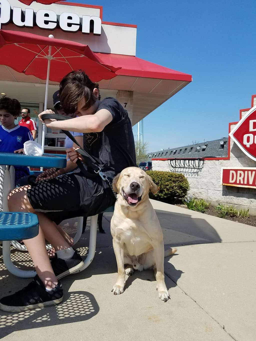 Dairy Queen Store | 703 E State St, Geneva, IL 60134 | Phone: (630) 232-2244