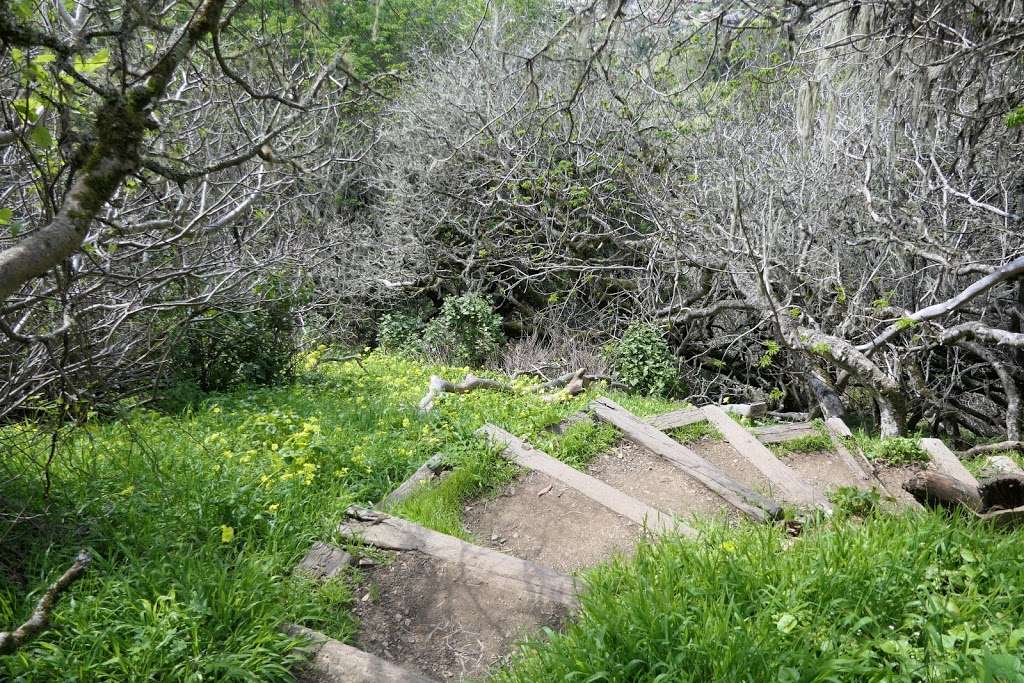 Dipsea Trail Head | Dipsea Trail, Stinson Beach, CA 94970, USA