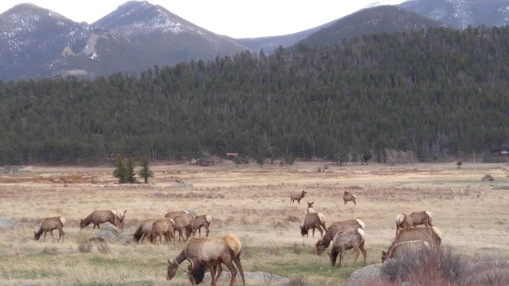 Moraine Park | Fern Lake Rd, Estes Park, CO 80517 | Phone: (970) 586-1206