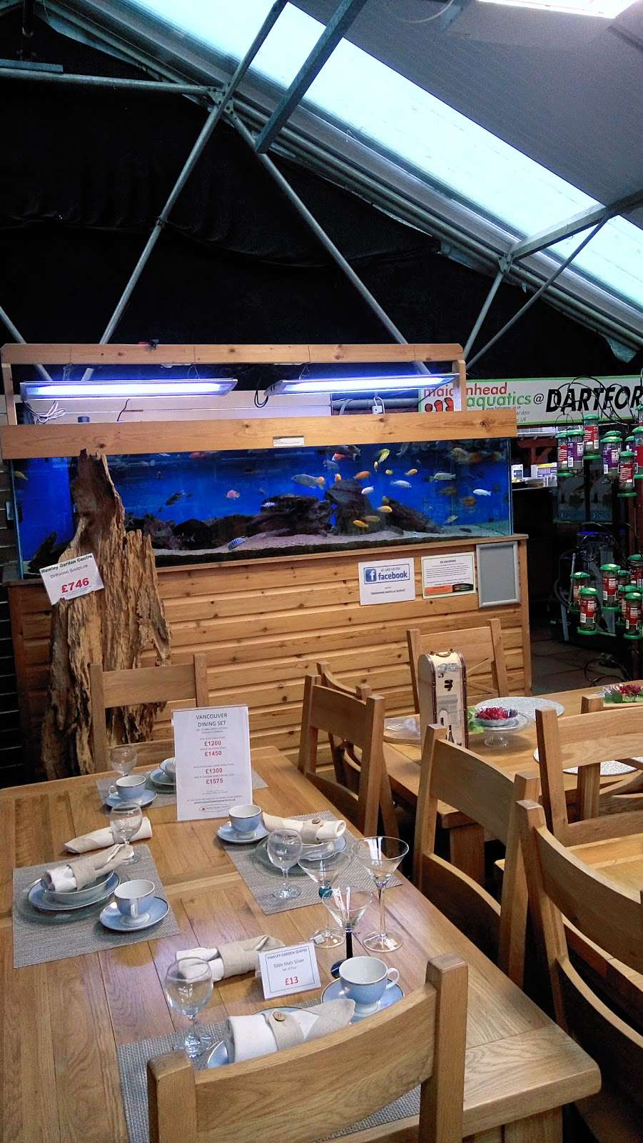 Maidenhead Aquatics Dartford | Hawley Garden Centre, Hawley Rd, Sutton at Hone, Dartford DA2 7RB, UK | Phone: 01322 291221