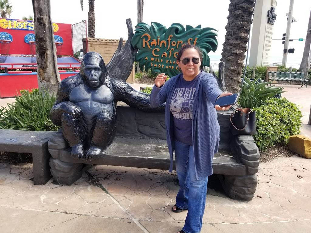 Rainforest Cafe | 5310 Seawall Blvd, Galveston, TX 77551, USA | Phone: (409) 744-6000