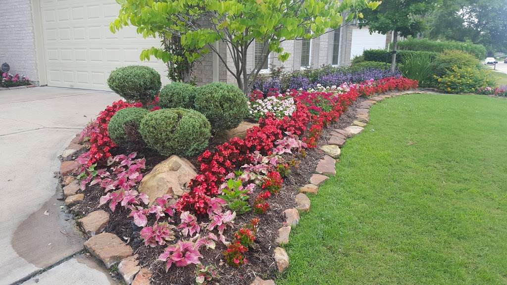 H Landscape And Color Design | 6735 Briargate Dr, Missouri City, TX 77489, USA | Phone: (281) 799-0086