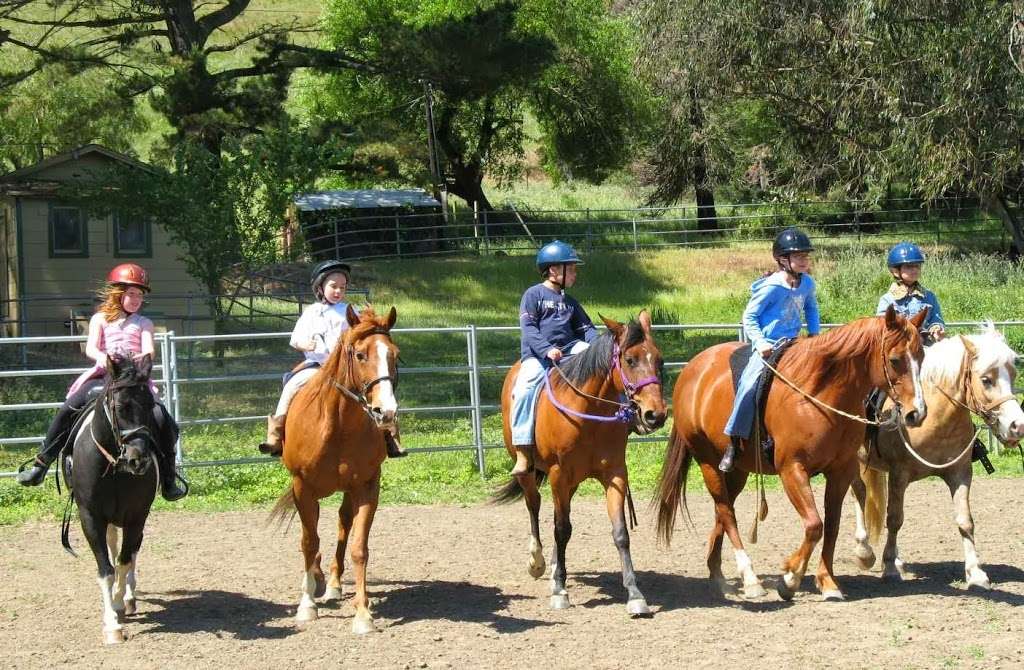 Janes Good Horses | 1 St Johns Mine Rd, Vallejo, CA 94591, USA | Phone: (925) 293-4627