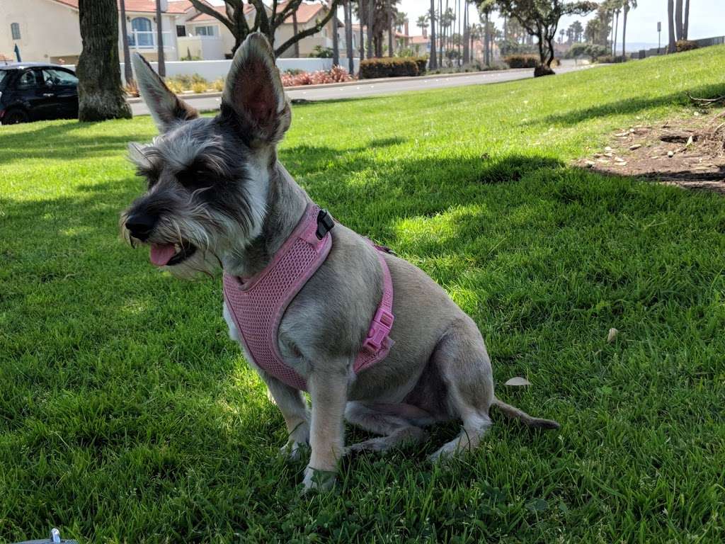 Coronado Cays Dog Park | Coronado, CA 92118, USA