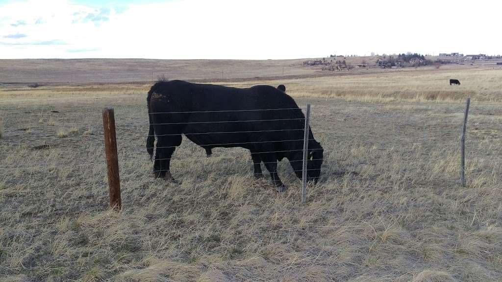 Greenbelt Plateau | Boulder, CO 80303, USA