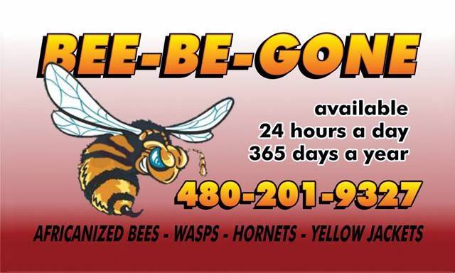 BEE BE GONE | Glendale, AZ 85311, USA | Phone: (480) 201-9327