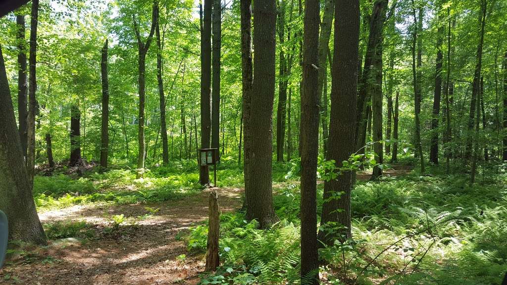 Heath Hen Meadow Brook Woodland Hiking Trail | 143-281 Boxboro Rd, Stow, MA 01775, USA