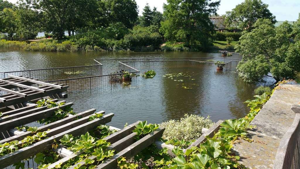 Aquatic Garden | Northbrook, IL 60062