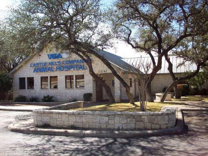 VCA Castle Hills Companion Animal Hospital | 13141 NW Military Hwy, San Antonio, TX 78231 | Phone: (210) 492-5519