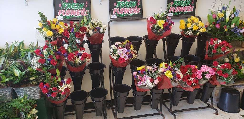 Central Florist in Spring Valley | Photo 4 of 10 | Address: 175 NY-59 #107, Spring Valley, NY 10977, USA | Phone: (845) 352-4445