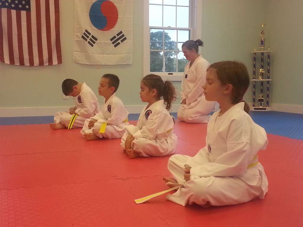 Midwest Taekwondo Academy | 240 E Main St, Westfield, IN 46074, USA | Phone: (317) 690-6064