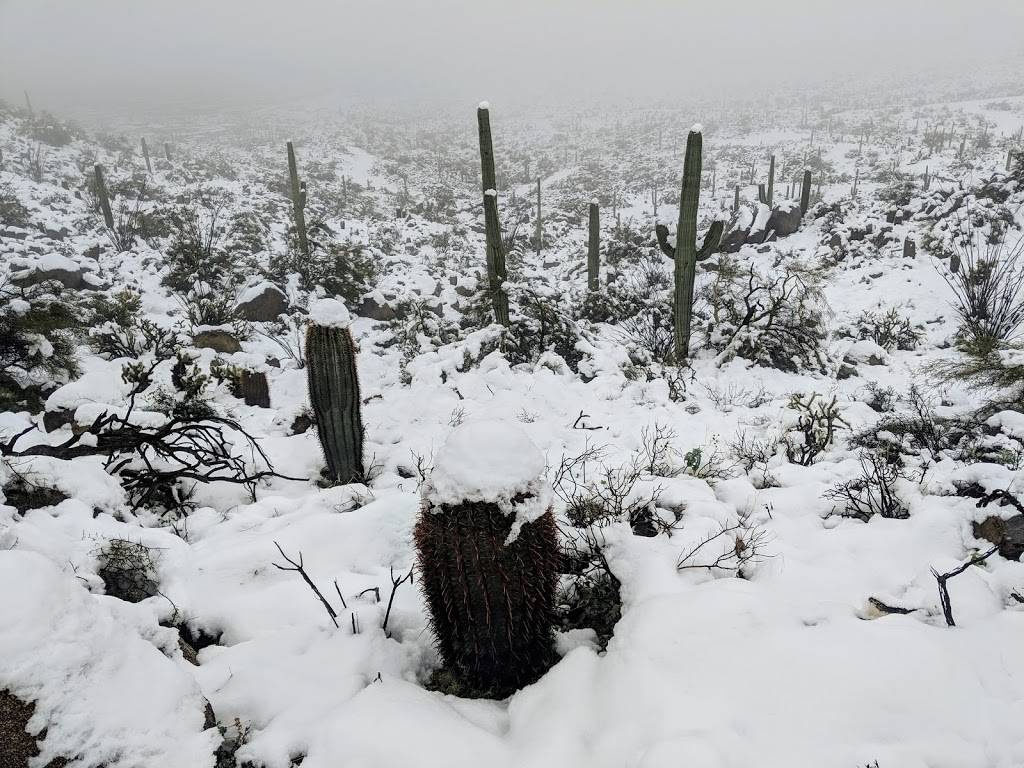 Adero Canyon Trailhead | 14800 N Eagle Ridge Dr, Scottsdale, AZ 85268, USA