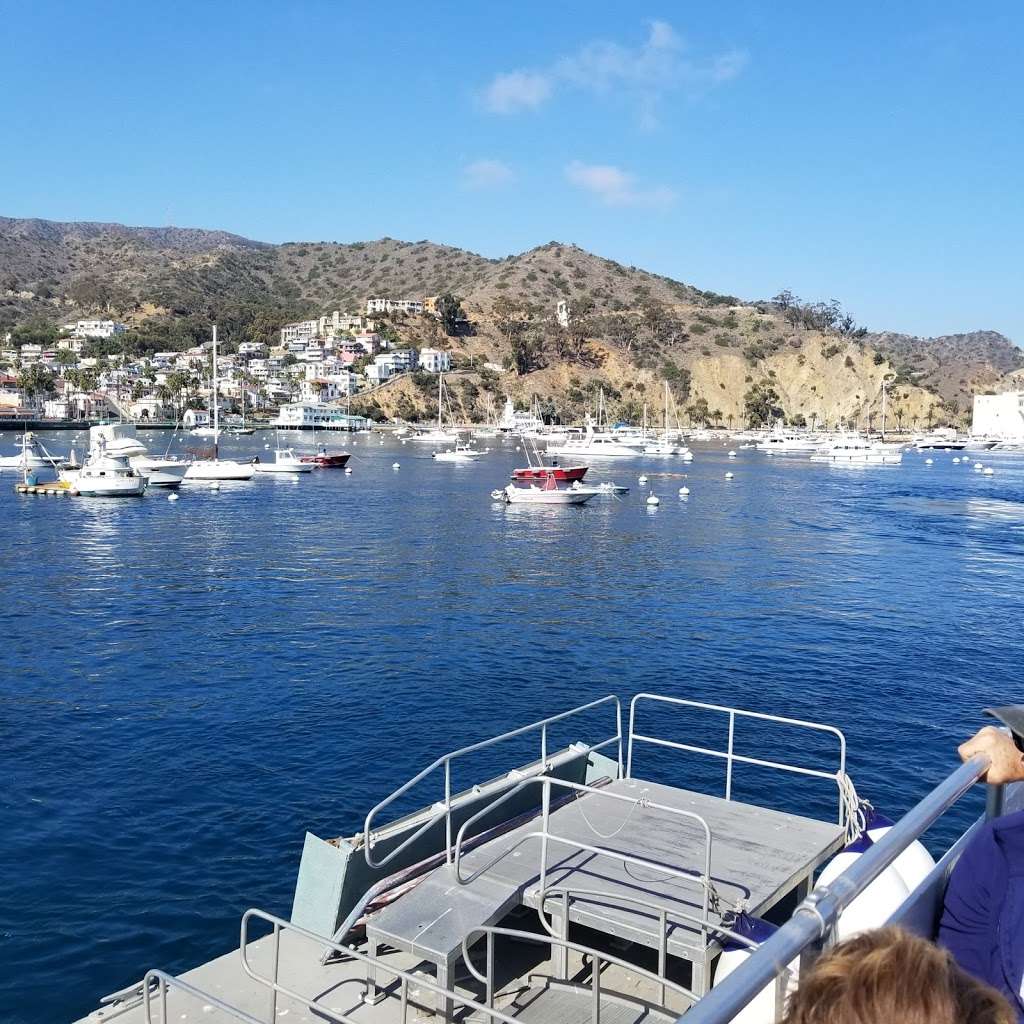 Diving Catalina | 1, Casino Way, Avalon, CA 90704, USA | Phone: (310) 510-8558