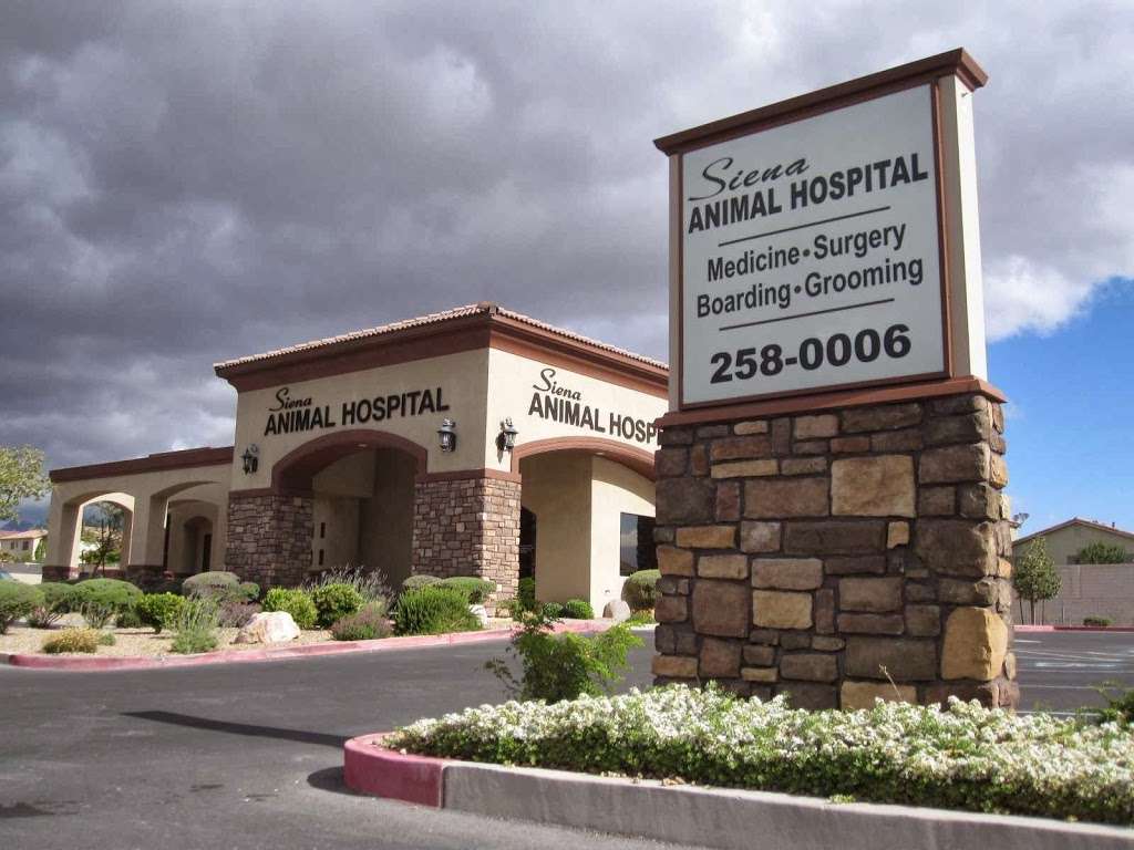 Siena Animal Hospital | 5625 S Grand Canyon Dr, Las Vegas, NV 89148, USA | Phone: (702) 258-0006