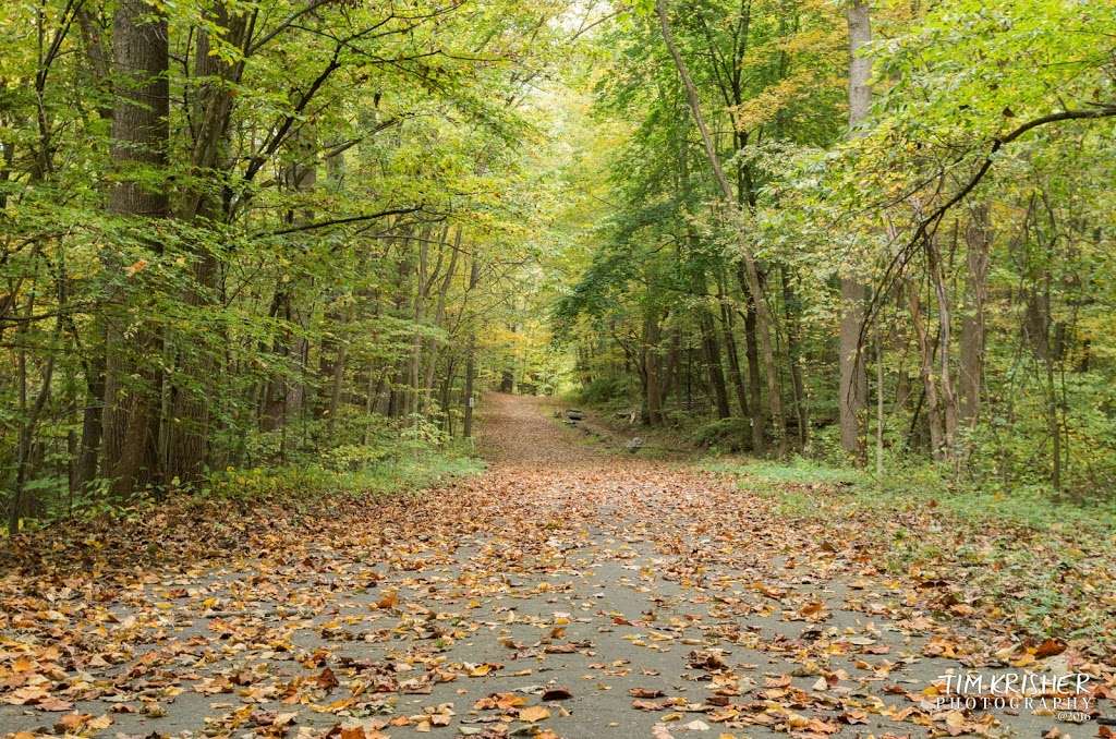 Lillinoah Woods Open Space | 125 Obtuse Hill Rd, Brookfield, CT 06804, USA | Phone: (203) 775-2575