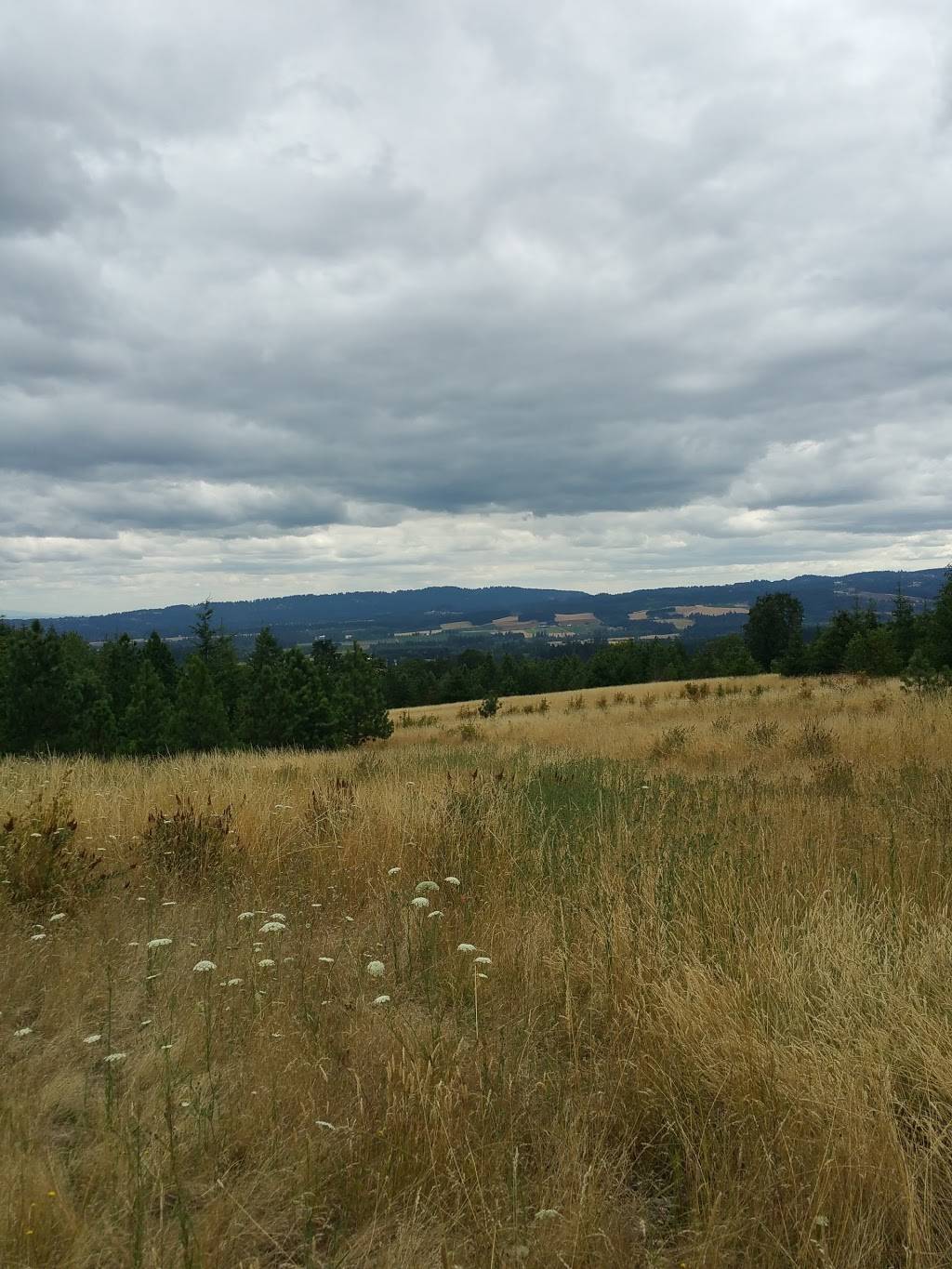 Cooper Mountain Nature Park | 18895 SW Kemmer Rd, Beaverton, OR 97007, USA | Phone: (503) 629-6350