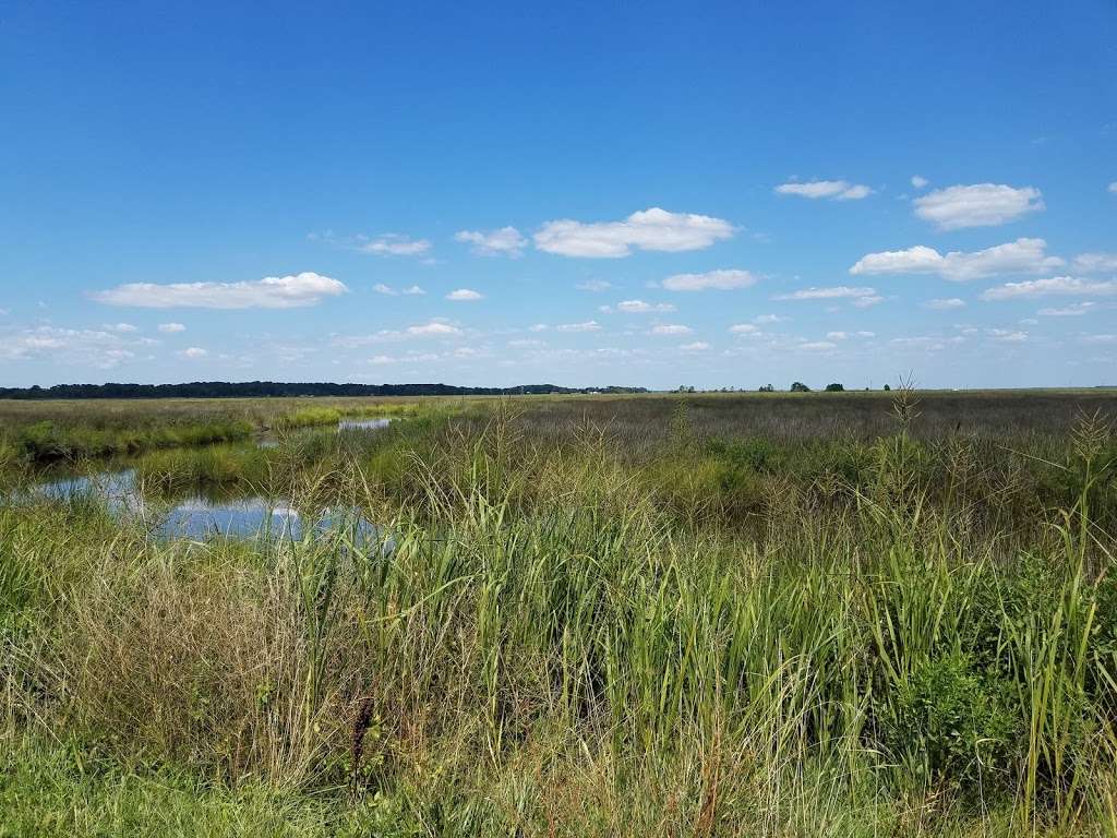 Deal Island State Wildlife Management Area | Dames Quarter, MD 21821, USA | Phone: (410) 543-8223