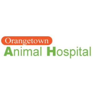 Orangetown Animal Hospital | 564 NY-303, Blauvelt, NY 10913, USA | Phone: (845) 359-0230