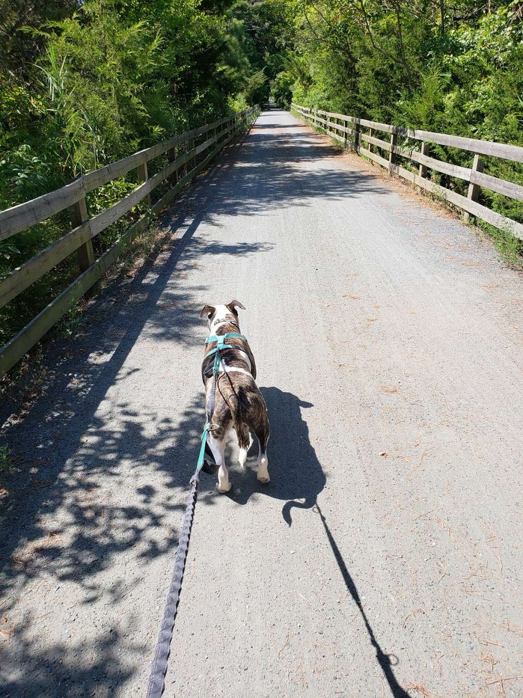 Junction and Breakwater Trail $8 parking | 35536 Wolfe Neck Rd, Rehoboth Beach, DE 19971, USA