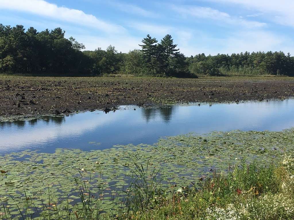 Cranberry Bog | Carlisle, MA 01741, USA