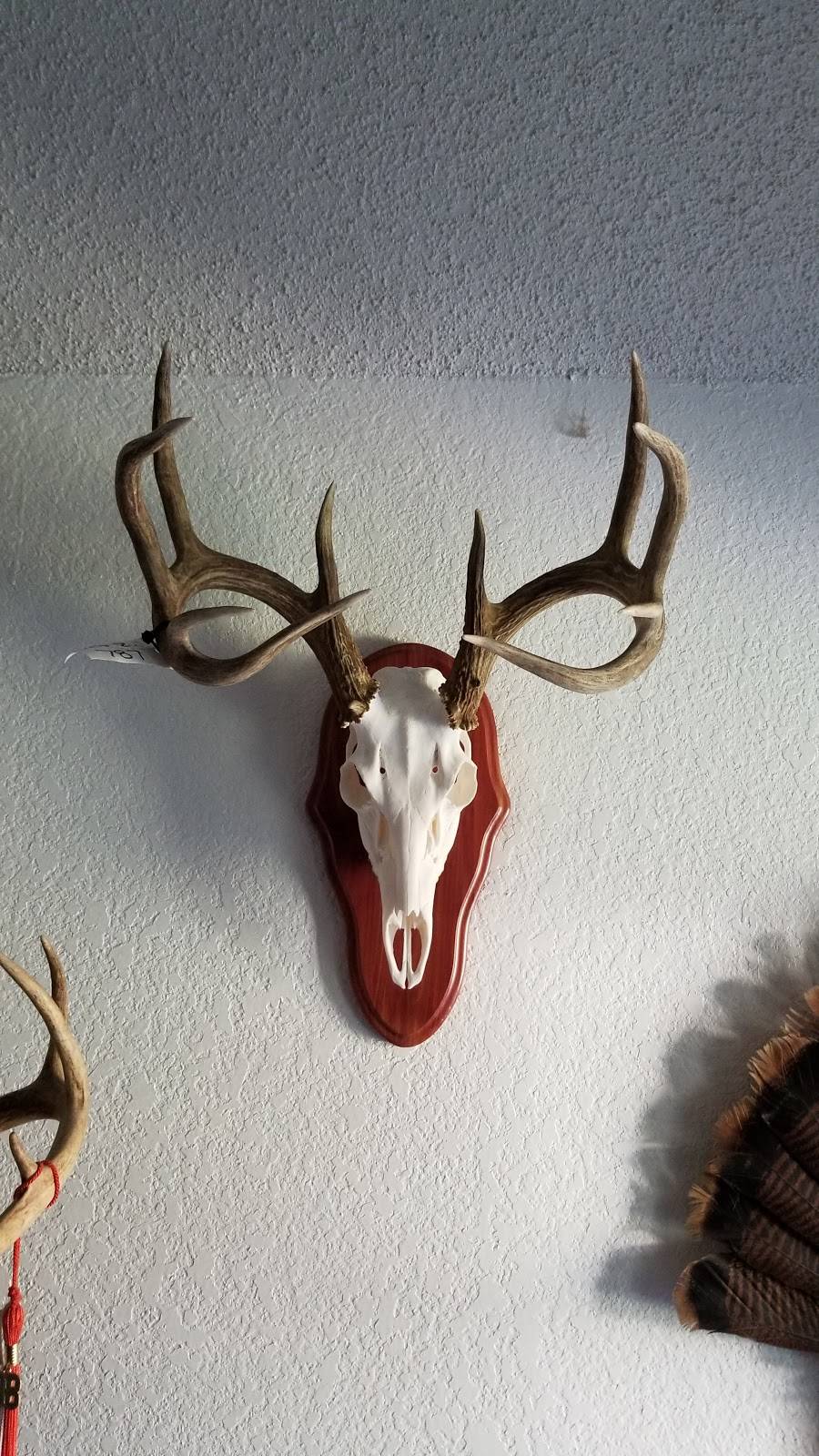 Outlaw Taxidermy | 21625 Martin Ln, Hutto, TX 78634, USA | Phone: (512) 632-8093