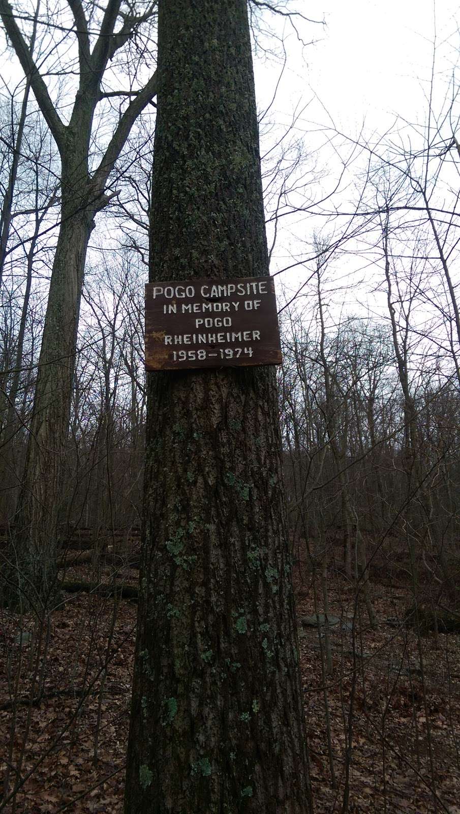 Pogo Memorial Campsite | Appalachian Trail, Hagerstown, MD 21740