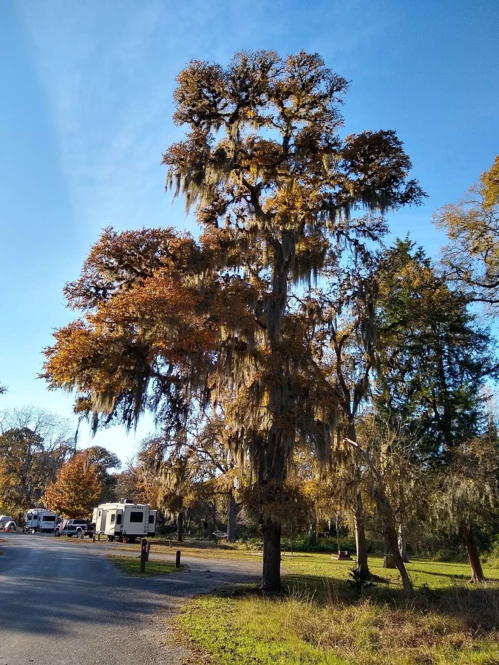 Stephen F. Austin State Park | Park Rd 38, San Felipe, TX 77473, USA | Phone: (979) 885-3613