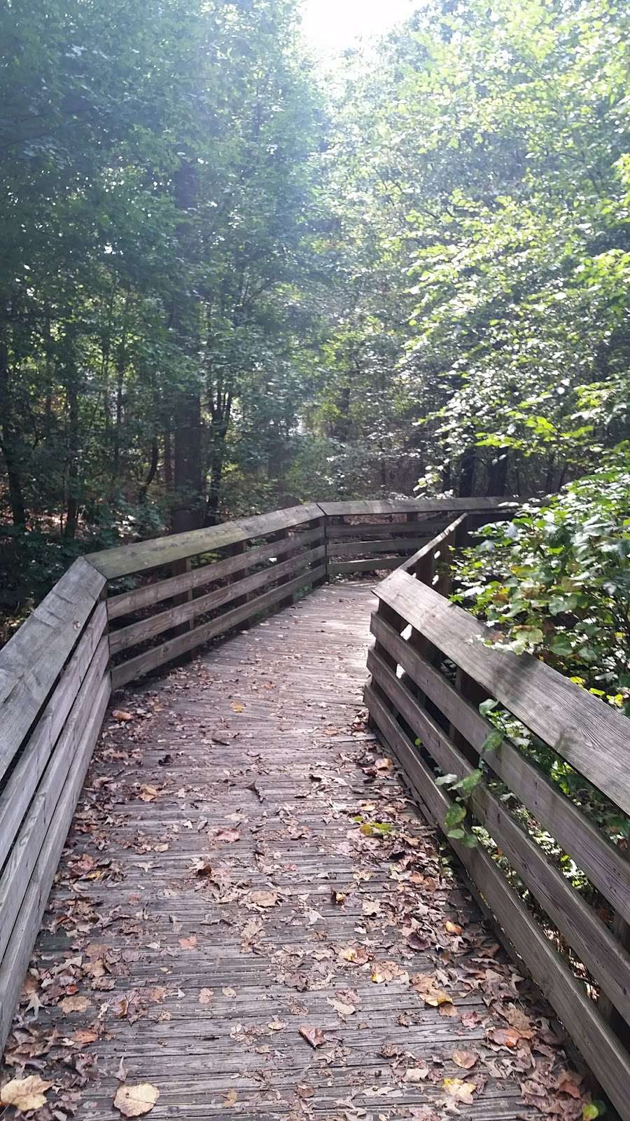 Nature Trail Parking At Piney Orchard | 8702 Natures Trail Ct, Odenton, MD 21113, USA