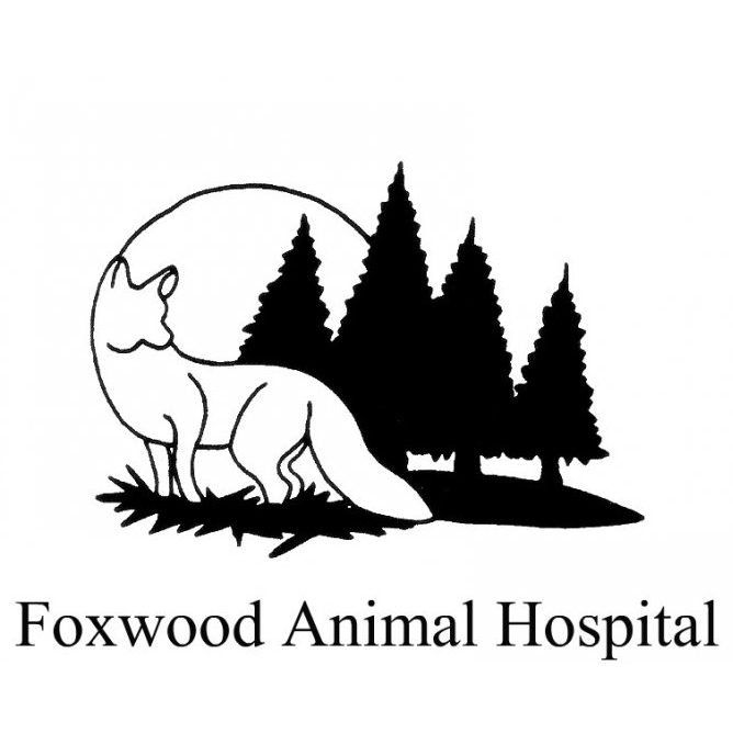 Foxwood Animal Hospital | 4704 NE Vivion Rd, Kansas City, MO 64119, USA | Phone: (816) 453-2154