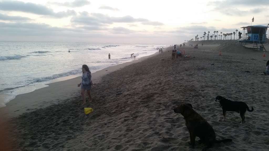 Dog Beach | Pacific Coast Highway, and, Goldenwest St, Huntington Beach, CA 92648, USA