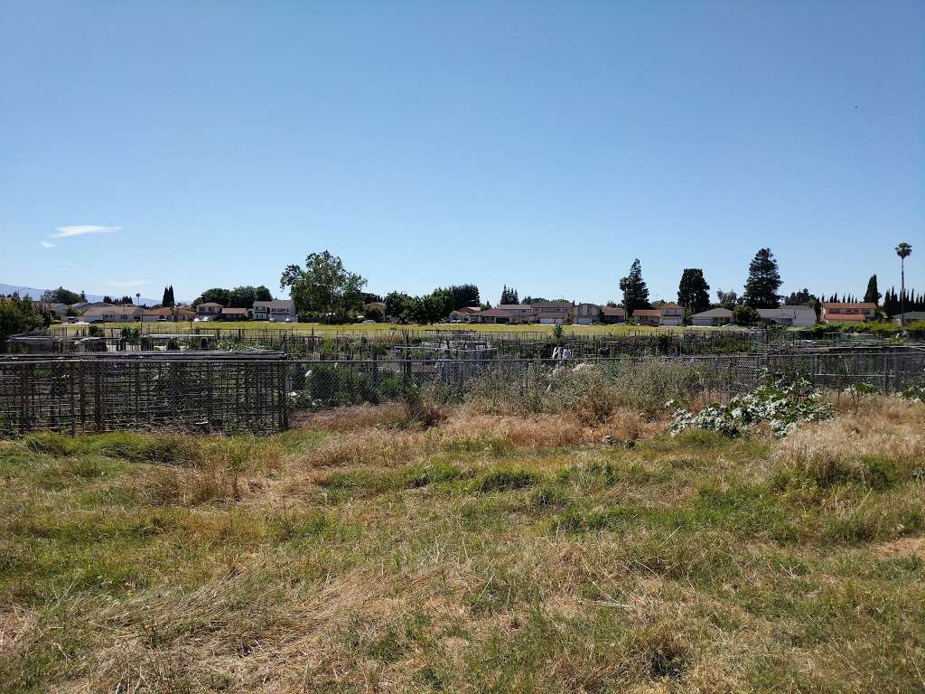 Berryessa Community Garden | Cape Colony Dr, San Jose, CA 95133, USA