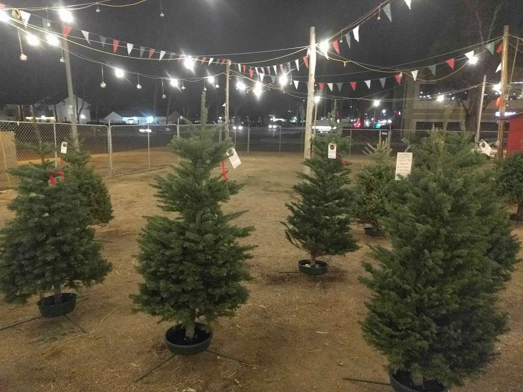 Olympic Christmas Trees | 7110 Archibald Ave, Rancho Cucamonga, CA 91701 | Phone: (877) 451-7922