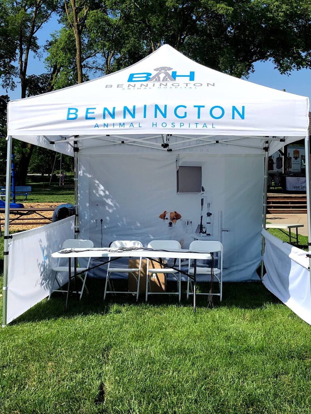 Bennington Animal Hospital | 15615 Center West Hadan Dr, Bennington, NE 68007, USA | Phone: (402) 452-3585