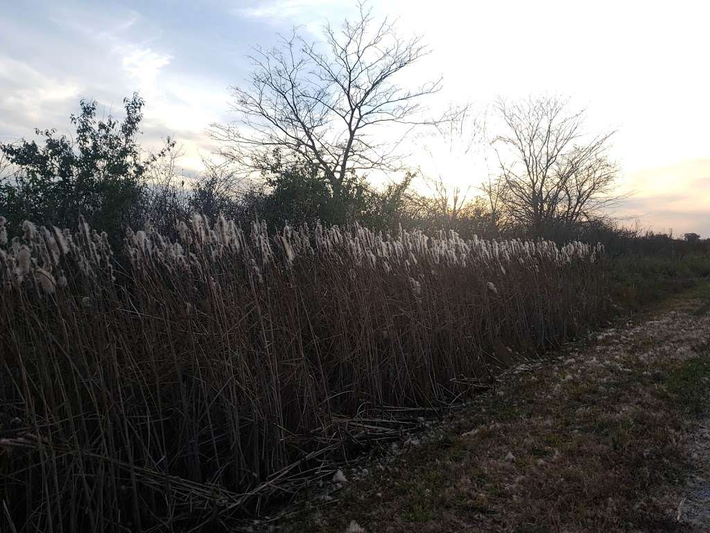 Baker University Wetlands | 1365 N 1250 Rd, Lawrence, KS 66046, USA | Phone: (785) 594-4700