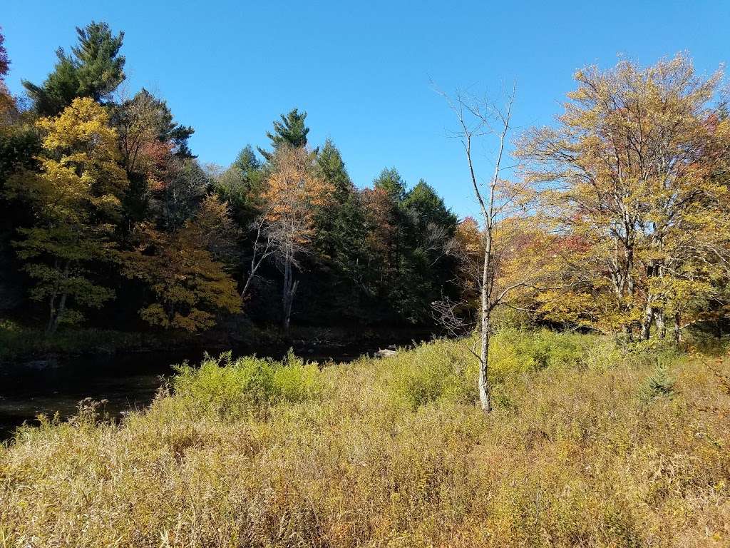 Austin T. Blakeslee Natural Area | 20 PA-115, Blakeslee, PA 18610