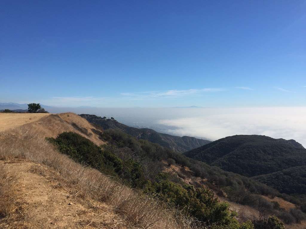 Tuna Canyon Park trailhead | Hearst Tank Mtwy, Topanga, CA 90290