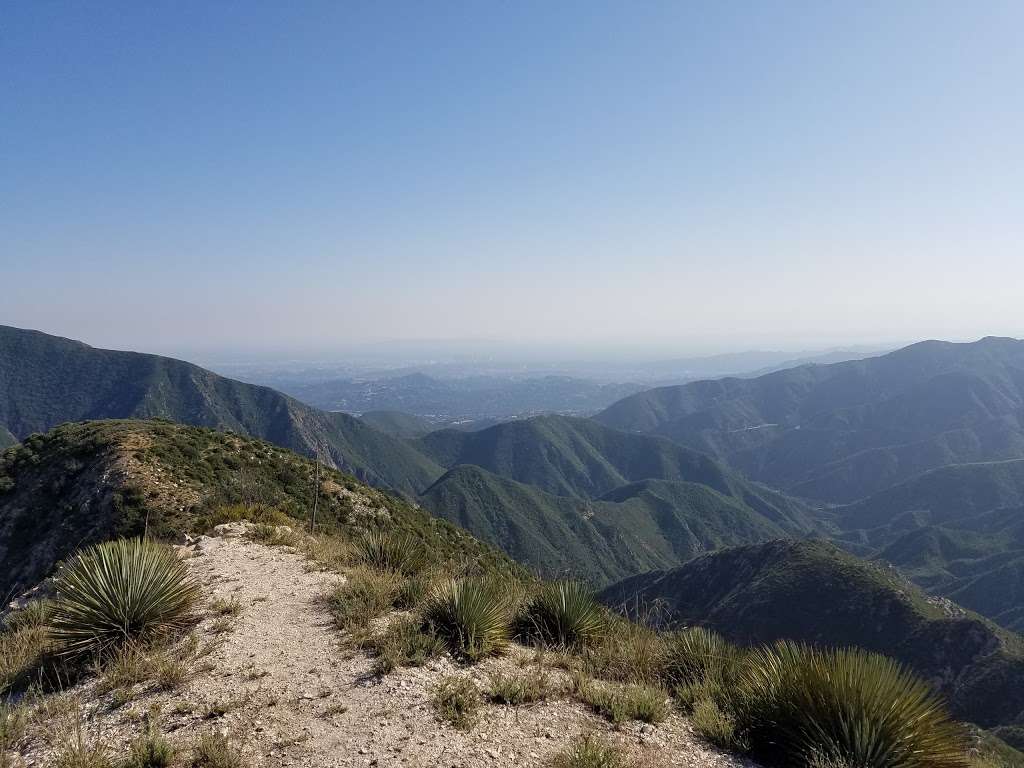 Cedar Overlook | Tujunga, CA 91042, USA