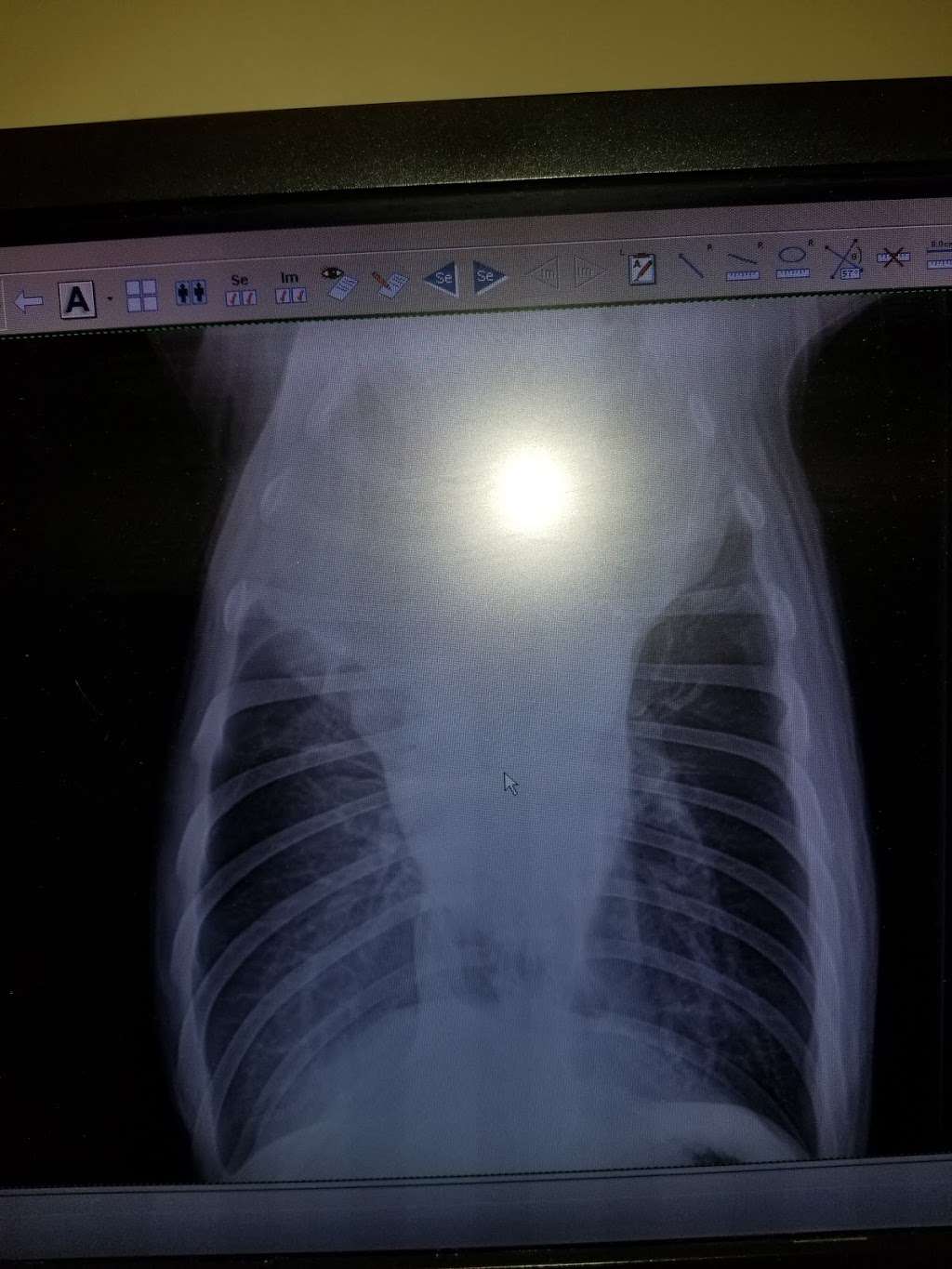 VCA Dakota Ridge Animal Hospital | 12255 W Bowles Ave, Littleton, CO 80127, USA | Phone: (303) 973-0442