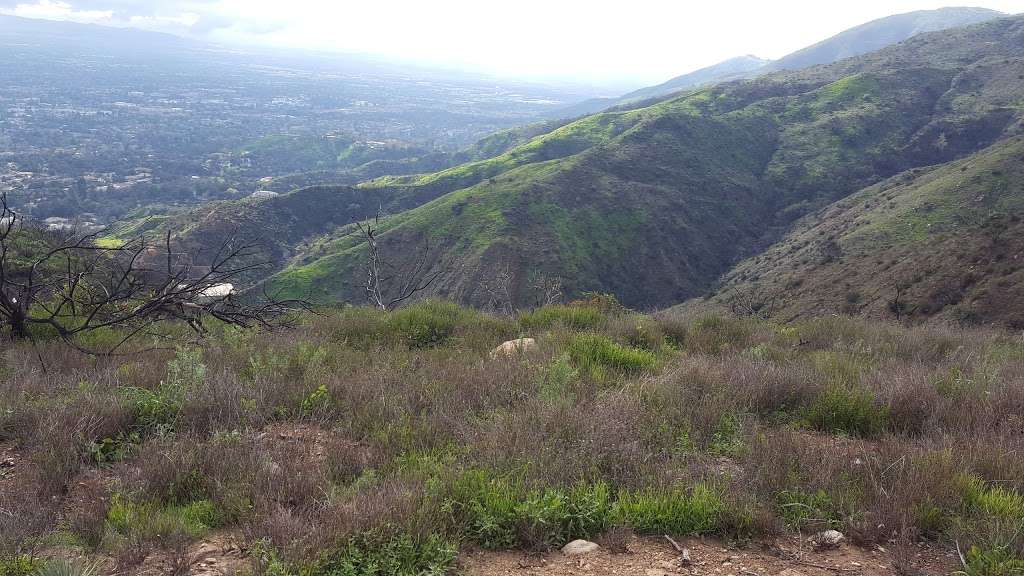 Upper Colby | Glendora Mountain Rd, Glendora, CA 91741, USA