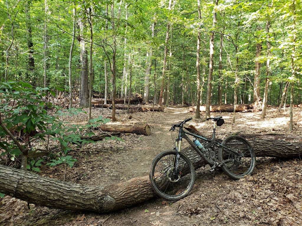 Muddy Branch Trail Head | 14401 Quince Orchard Rd, North Potomac, MD 20878, USA