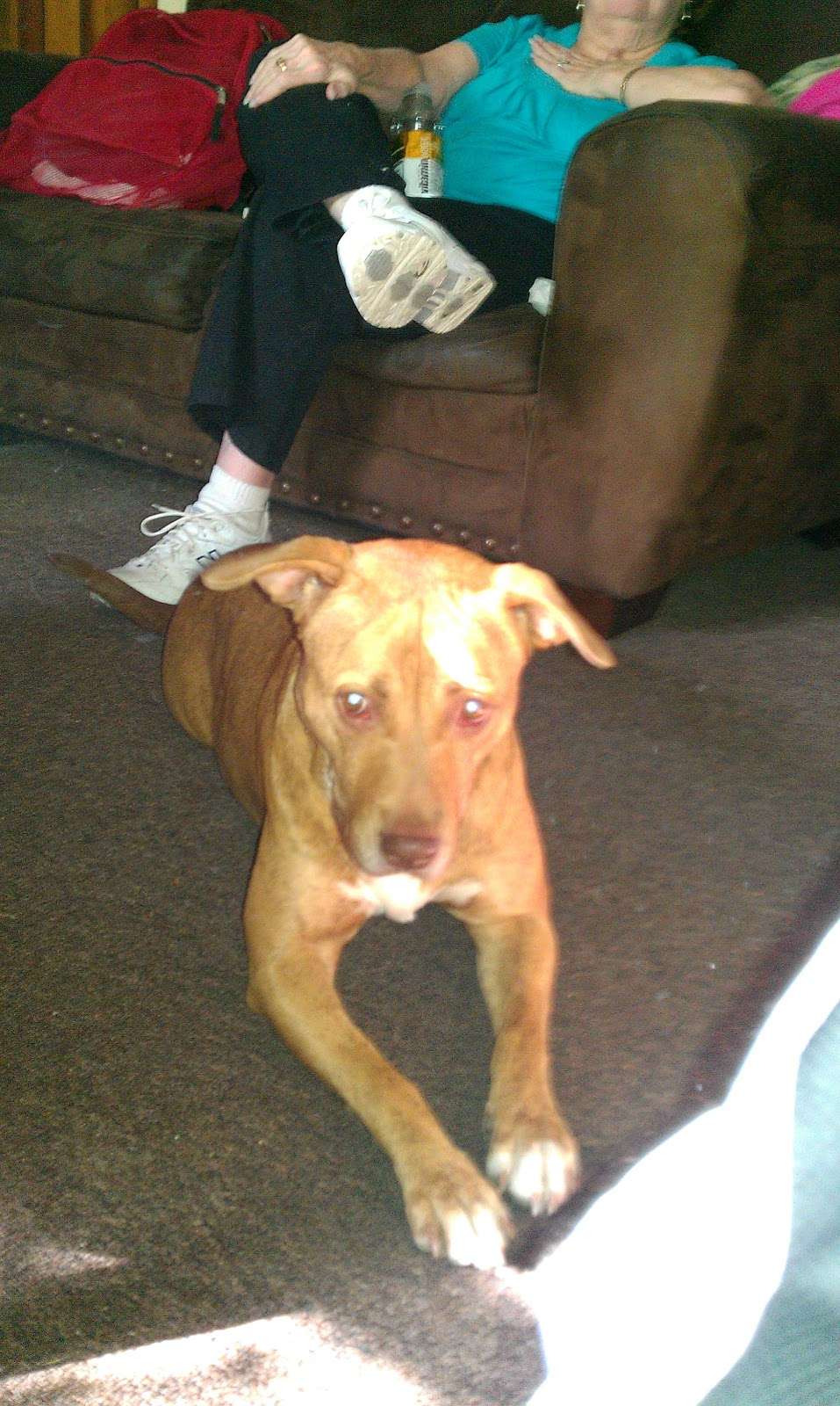 Valero Gas Station | 15248-000-0016, San Antonio, TX 78252, USA